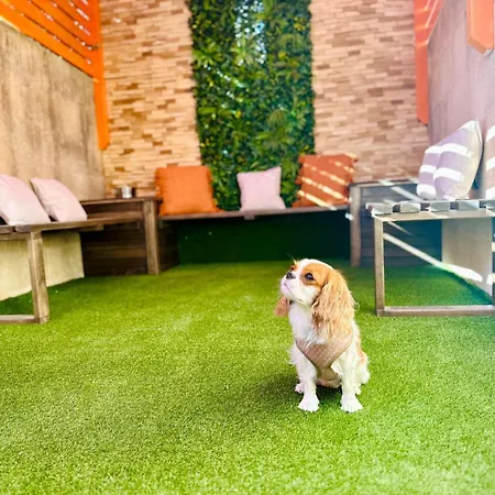 Willa Dawlet Ix-xemx Gozo *