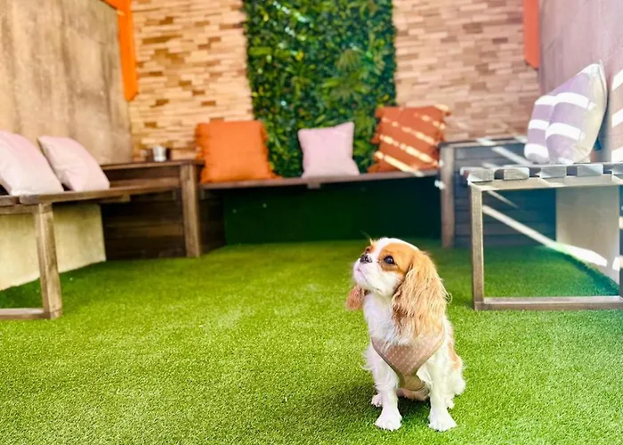 Villa Dawlet Ix-xemx Gozo *